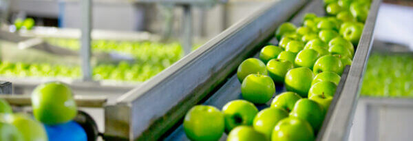 Groene appels op een lopende band in een voedselverwerkingsbedrijf